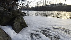 Do �eky Be�vy ve Vala�ském Mezi�í�í-Ju�ince znovu unikla 24. listopadu 2020...