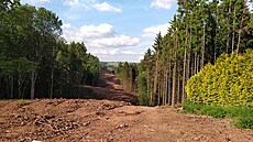 V lesích u Kramolny u jsou prseky pro obchvat Náchoda. (29. kvtna 2024)