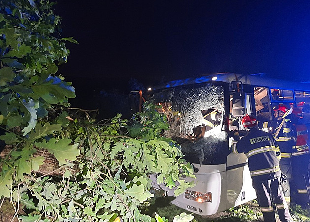 Před autobus spadl silný strom, větve prorazily čelní sklo a zranily řidičku