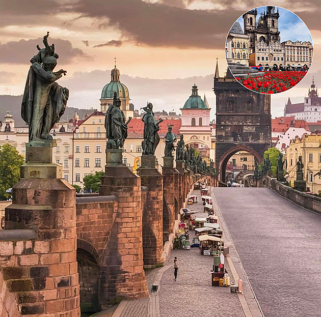 Vlčí máky na „Staromáku“. Cestovky lákají turisty do Prahy na falešné fotky