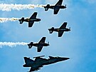 tyi letadla Flying Bulls Aerobatic Team zahajovala spolu s gripenem...