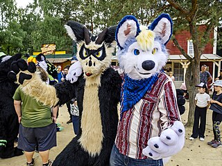 Na furry srazu se plyáci pátelsky poplácávají a objímají.