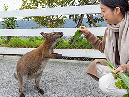 Zoologické zahrady, které nikdo nezná, a podez�elé zookoutky zdánliv� bez...