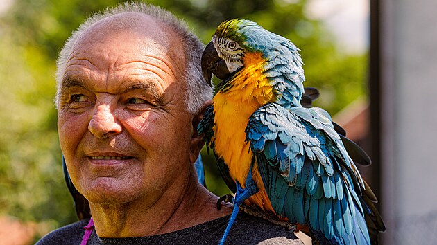 Chovatel Ji Solovsk se svmi milovanmi papouky.