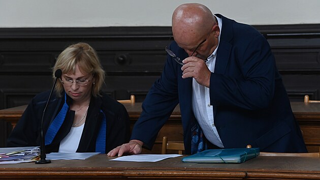 Polsk� �idi� kamionu Roman Baksalara u olomouck�ho okresn�ho soudu. (3. �ervna 2024)
