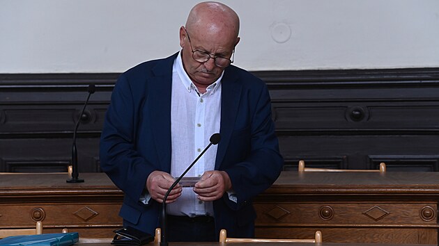 Polsk� �idi� kamionu Roman Baksalara u olomouck�ho okresn�ho soudu. (3. �ervna 2024)