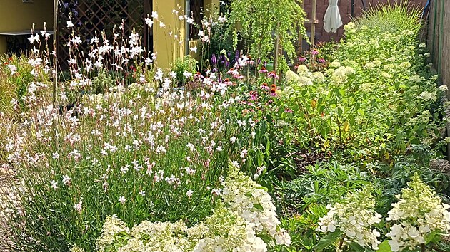 Vzadu zahradn� domek s pergolou, na z�honu hortenzie strome�kov�, gaura, vrby a katalpa.