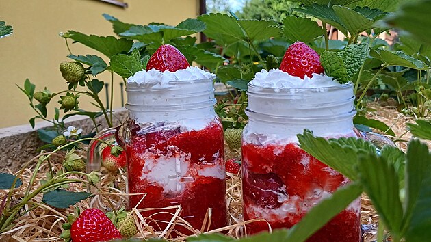 Kdy� se mlsaj� jah�dky se �leha�kou...