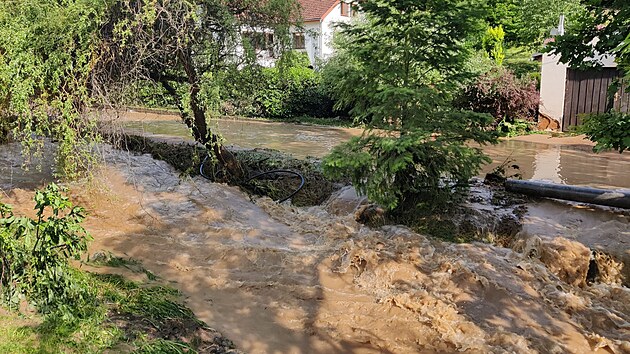 Bleskov povode nadlala paseku ve tnovicch na Plzesku. (2. ervna 2024)