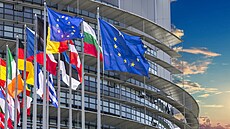 ilustra�ní snímek