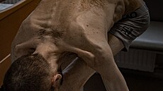 Ukrajinec Roman Vasiliovi� po propu�t�ní z ruského zajetí (4. �ervna 2024)