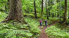 Kde najít samotu? Odpov�� na tuto otázku hledá �ím dál více cestovatel�.