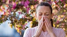 ilustra�ní snímek