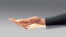 Ukazuje se, e jedním z nejádanjích jsou prémie a podíl na výsledcích. Má ho...