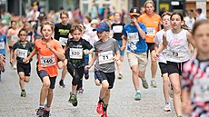 Ulicemi Zlína belo v rámci festivalového rodinného  bhu pes 900 dtí,...