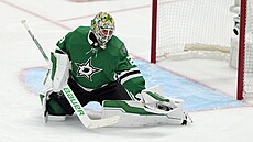 Branká Dallasu Jake Oettinger zasahuje proti stele Edmontonu.