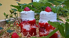 Kdy� se mlsají jah�dky se �leha�kou...