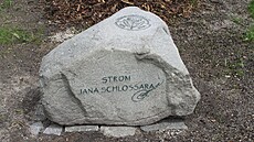 Javor klen na Kladské p�ipomíná Jana Schlossara, prvního vedoucího Správy CHKO...