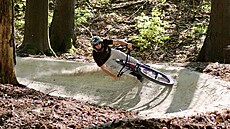 V lese nad plovárnou Dachova u Ho�ic vznikly traily pro horská kola.