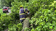 Královehradetí hasii zasahovali hlavn u popadaných strom. (2. ervna 2024)
