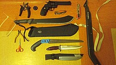 Psychiatrický pacient z Trutnova m�l v krosn� ma�etu, vzduchový revolver a...