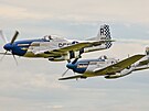 Dvojice ��eských� Mustang�, letoun pojmenovaný Little Rebel pilotuje Radim...