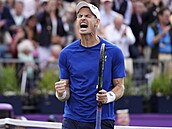 Andy Murray oslavil jubilejní 1000. zápas na okruhu ATP Tour na turnaji...