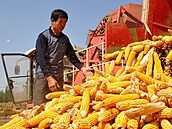 V továrnách i na polích. P�íle�itostnou pracovní sílu pot�ebuje �ínská...