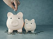 ilustra�ní snímek