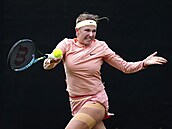Linda Fruhvirtová v zápase s Uns Dábirovou.
