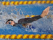 eská plavkyn Barbora Janíková na evropském ampionátu v Blehrad