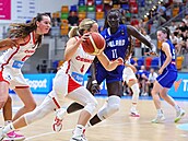 eská basketbalistka Gabriela Andlová (u míe) útoí s pomoci clonící Emmy...