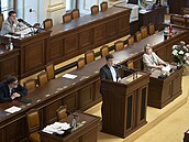 Poslanec hnutí ANO Patrik Nacher bhem jednání o korespondenní volb (14....