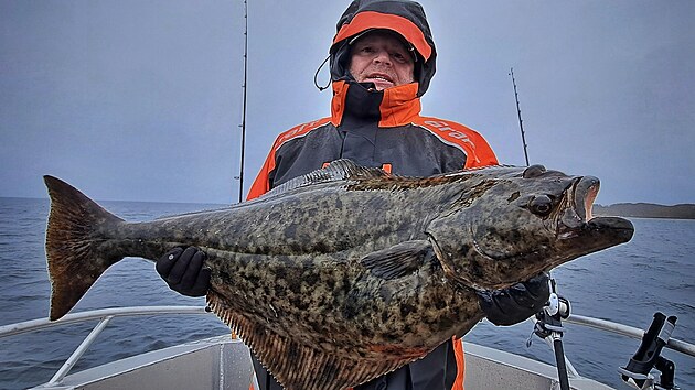 Halibut, sen mnoha ryb���