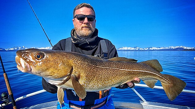 Treska obecn� je kr�snou rybou.