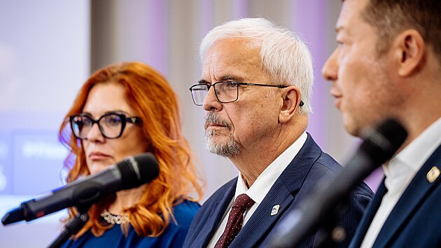 Tiskov konference strany SPD k vsledkm voleb do Evropskho parlamentu. (10. ervna 2024)