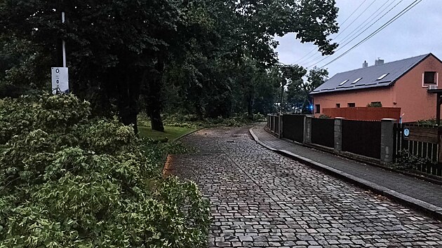 V�chodem �eska pro�ly siln� bou�ky s krupobit�m. V�tr vyvracel stromy a na �ad� m�st nejde elekt�ina. Ostrava-Pet�kovice, ulice Pod Landekem. (19. �ervna 2024)