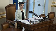Poslanci zaali schvalovat zavedení monosti korespondenní volby pro echy...