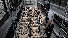 V El Salvadoru mají nejvtí vznici na svt pro více jak 40 tisíc vz,...