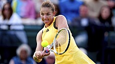 Karolína Plí�ková v semifinále turnaje v Nottinghamu