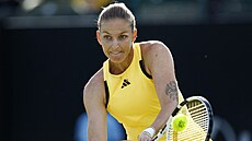 Karolína Plíková ve finále turnaje v Nottinghamu