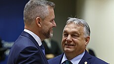 Sedmadvacet lídr Evropské unie se v pondlí veer selo v Bruselu, aby...