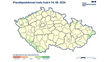 Pravd�podobnost r�stu hub k 14. �ervnu 2024