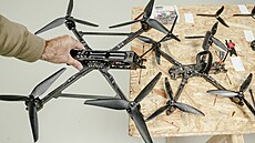 Porovnání velikostí dron�. Sedmipalcový a desetipalcový.