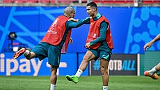 Portugal�tí fotbalisté poprvé trénovali na stadionu v n�meckém Lipsku p�ed...
