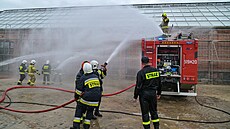 Poltí hasii. Ilustraní foto.