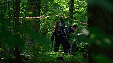 Nmecká policie nala zavradnou devítiletou dívku v lese u saského msta...