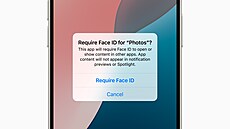 Apple iOS 18
