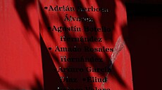 P�ipomínka tragédie v mexickém Pasta de Conchos, p�i které zem�elo 65 horník�....