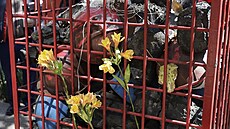 P�ipomínka tragédie v mexickém Pasta de Conchos, p�i které zem�elo 65 horník�....